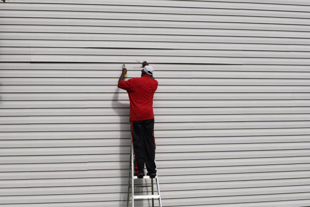 Best Brick Veneer Siding  in Riddle, OR
